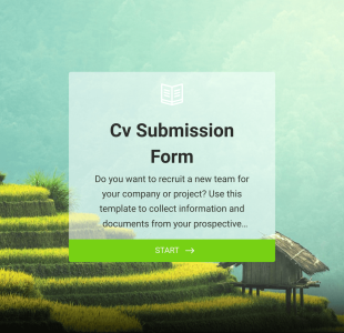 CV Application Form Template