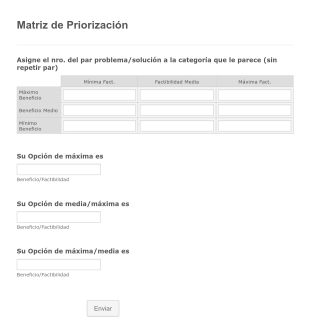 Formulario Matriz De Priorización Form Template