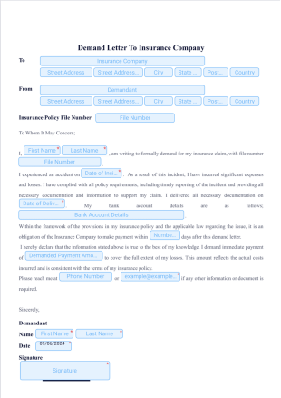 Demand Letter To Insurance Company - PDF Templates