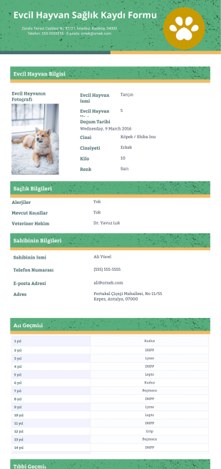 Evcil Hayvan Sağlık Kaydı Şablonu - PDF Templates