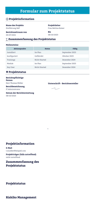 Formular zum Projektstatus Vorlage - PDF Templates