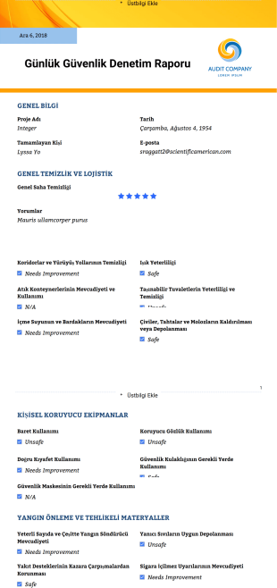 Günlük Güvenlik Denetim Raporu - PDF Templates