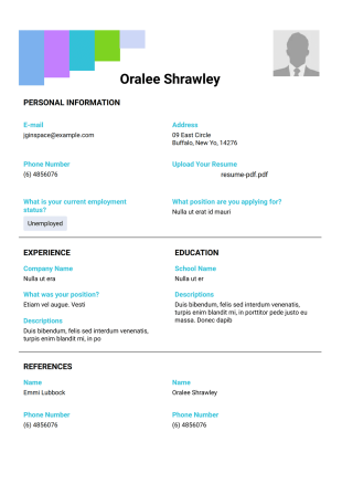 Job Application Template - PDF Templates