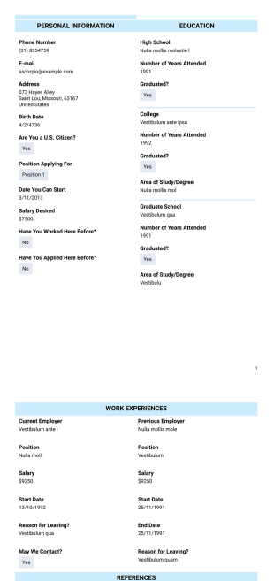 Modern Employment Application Template - PDF Templates