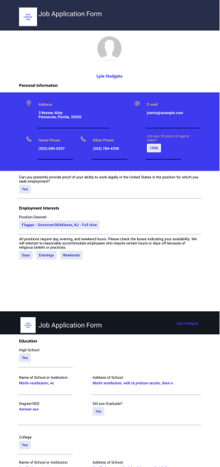 Professional Job Application Record Template - PDF Templates