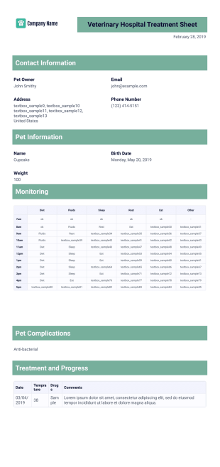 Veterinary Hospital Treatment Sheet Template - PDF Templates