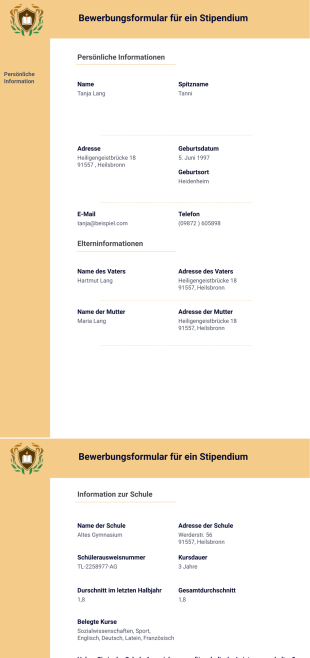 Vorlage für eine Bewerbung um ein Stipendium - PDF Templates